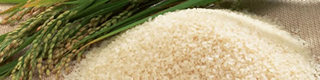 category_title_goods2.jpg