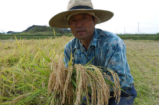 20111013013.jpg