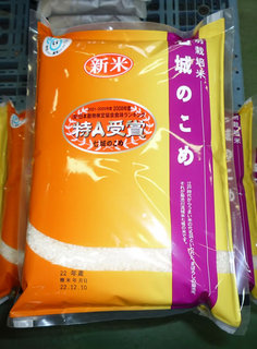 shichijyounokome2.jpg